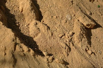 Uneven textured surface of a mixture of dirty sand and small stones