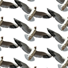Vector pattern with hand drawn illustration of seagulls isolated.