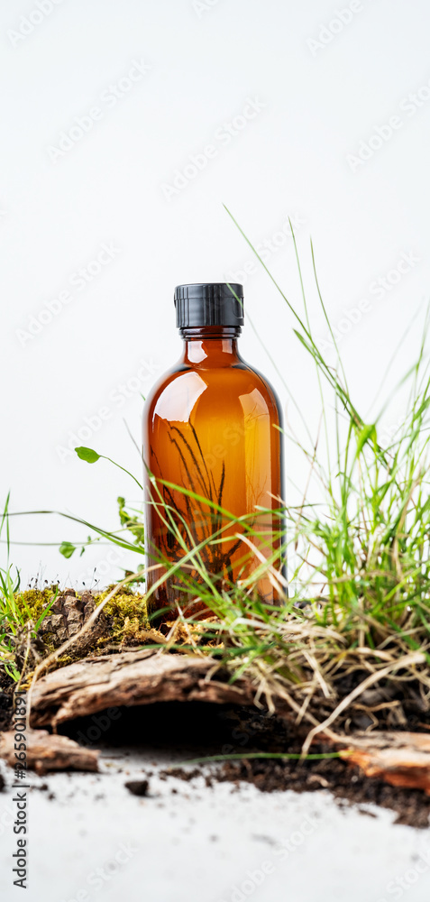 Wall mural Isolated creative composition of beauty natural background with bark tree, tiny mosses and grass of organic cosmetic products in glass brown bottle.