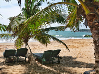 Empty sunbeds under palms on the beach. Sea view.