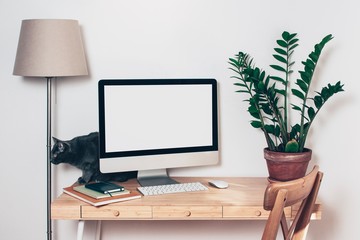 Computer with mockup screen on office table and grey kitten