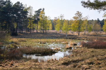 Landscape of Tevener Heide Natural Park in spring , Germany, North Rhine-Westphalia