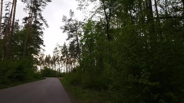 Driving down an country road during spring summer. Asphalt road driving in the forest. Point-of-view driving. Road through tree forest