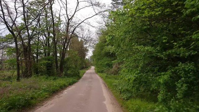 Driving down an old country road during spring summer. Old asphalt road driving in the forest. Point-of-view driving. Road through tree forest
