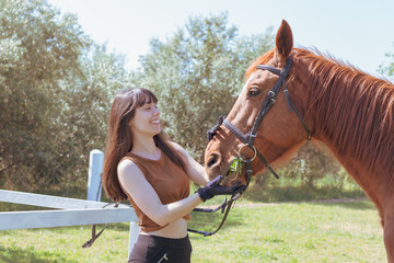 Obraz premium female rider cares for her horse