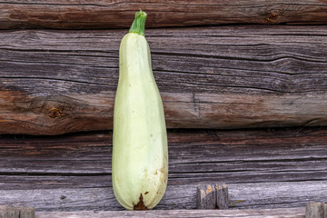 Fresh zucchini on wooden background