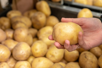 Woman shopper selecting fresh potatoes from a bin at farmers market