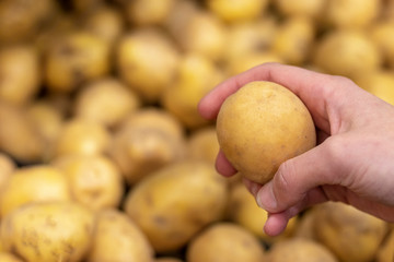 Woman shopper selecting fresh potatoes from a bin at farmers market