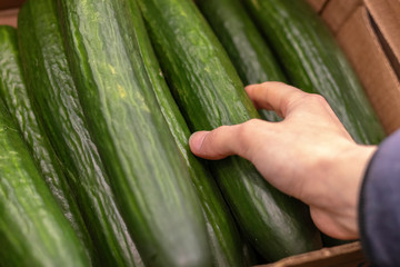 Women hand choosing cucumer at supermarket