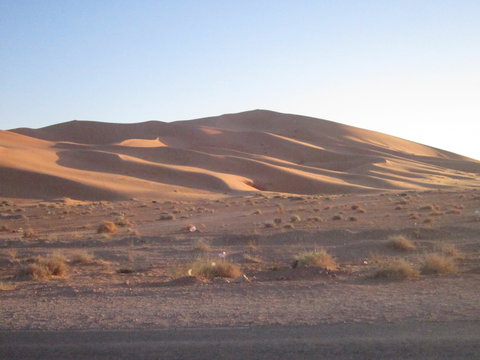 Taghite - Bechar - Algeria