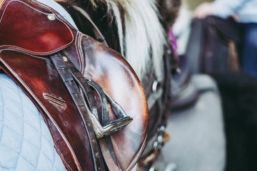 Equipement d'équitation, selle en cuir et étriers
