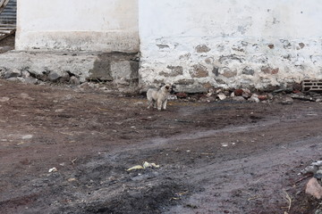 Natural life, tourism, natural photos, Devil's Castle in Ardahan, Turkey