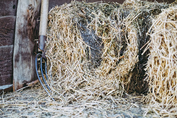 Scène de ferme, fourche et foin