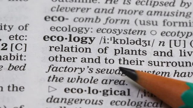 Ecology word pointed in vocabulary earth environment protection and preservation
