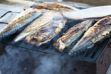 Fresh mackerel on outdoor grill, healthy meat for dieting