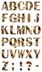 alphabet and symbols made of shiny golden stones isolated on white