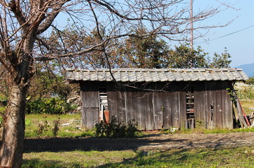 田舎の掘っ立て小屋です