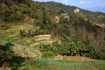 Fototapeta na wymiar Samaba Rice Terrace Fields in Honghe County - Baohua township, Yunnan Province China. Sama Dam Multi-Color Terraces - grass, mud construction layered terraces filled with water. Hani and Yi Culture