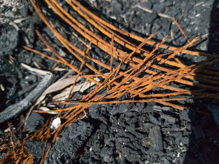 Wires left to the time, rusted, rubbish. 