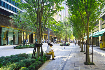 東京有楽町、木漏れ日の射す日比谷の新緑のプロムナード - obrazy, fototapety, plakaty
