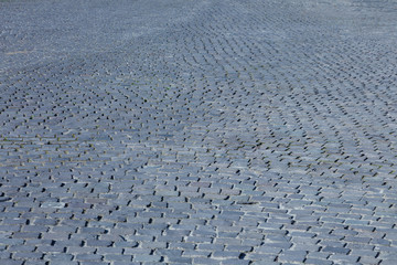 Stone pavement texture.  Old cobblestone abstract background. Close up.