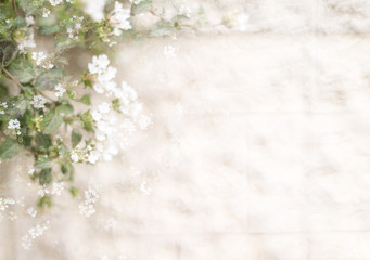 vintage background with white flowers flame 