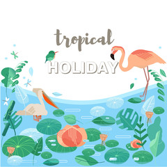 Vector illustration. Flamingos, pelicans, exotic birds. Stylized aquatic plants