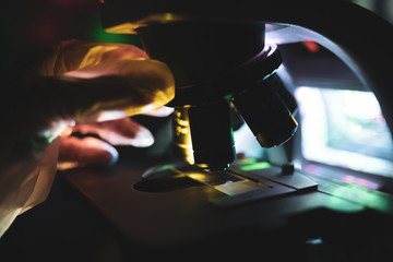 Lights in the Nights