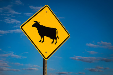 Yellow cattle crossing sign against blue skies
