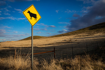 Yellow cattle crossing sign in front of desert hills