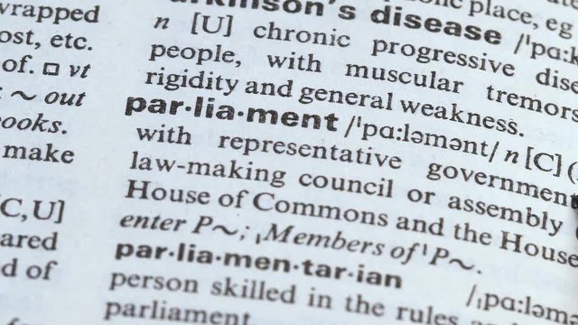 Parliament word in english dictionary, lawmaking council in state government