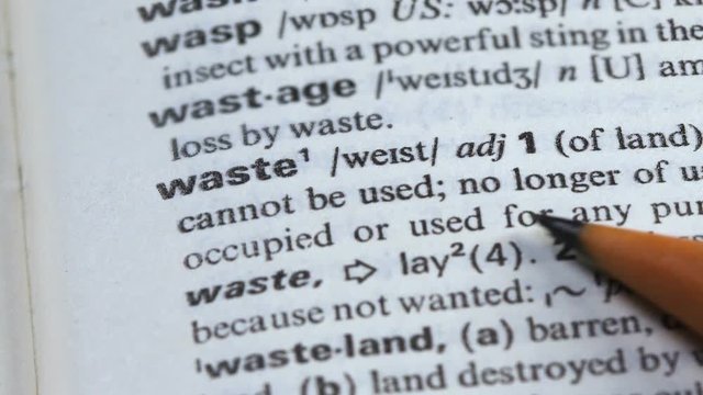 Waste meaning in english vocabulary, extensive nature pollution, overconsumption
