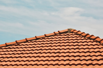 tile roof on the background of the bare sky. copy space for your text