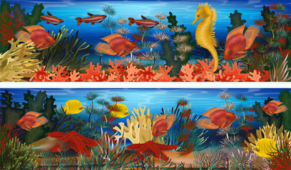Underwater horizontal banners with seahorse, algae and tropical fish, vector illustration