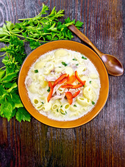Soup creamy of chicken and pasta with pepper in plate on board top