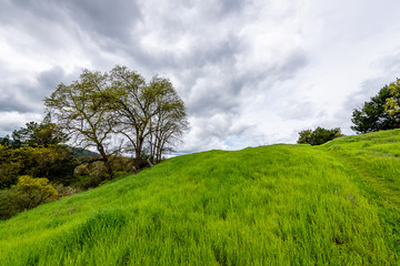 Hap Magee Ranch Park 