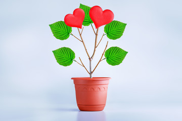 Tree of love, hearts grow on the branches. Growing love and relationship concept between man and woman.