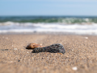 sea ​​pebbles and shells on the seashore against the blue sky