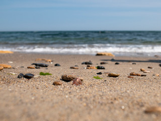 Fototapeta na wymiar sea ​​pebbles and shells on the seashore against the blue sky