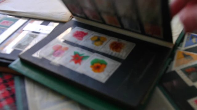 Philatelist Browsing Stockbook with Postage Stamps Collection