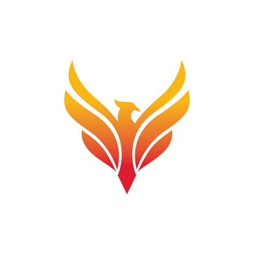 Phoenix Logo - Vector logo template