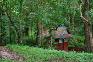 Fototapeta na wymiar Forest red small rest house