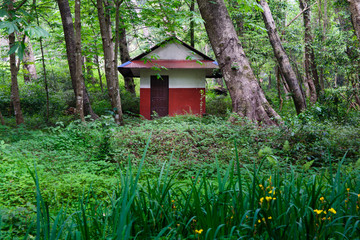 Forest red small rest house