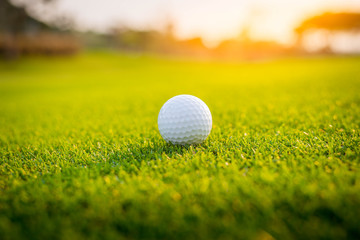 Golf ball putting on green grass  golf in game at golf course with blur background and sunlight ray