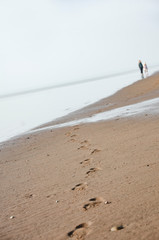 Silhouettes of people enjoying the North Sea in Denmark