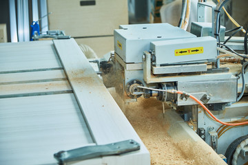 lamination of doors, drawing veneer, production of interior and metal doors