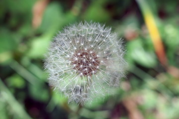 Tokyo,Japan-April 28, 2019: Isolated parachute ball on white background