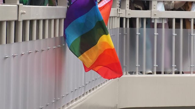 TOKYO,  JAPAN - 28 APRIL 2019 : RAINBOW COLOR FLAG at LGBT parade.