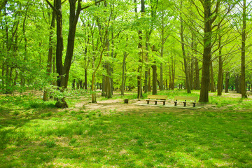 Park bench