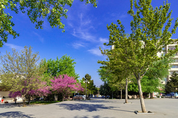 Fototapety na wymiar - Fototapeta24.pl